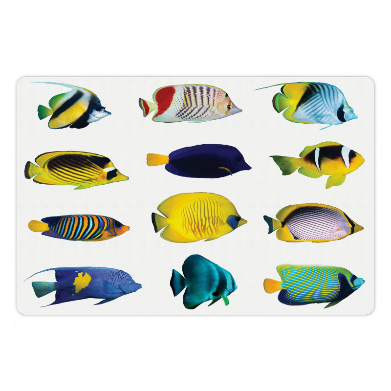 Collage of Sea Animals Pet Mat
