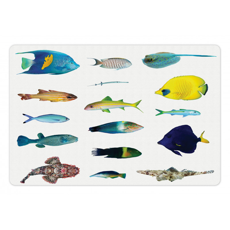 Marine Life Creatures Pet Mat