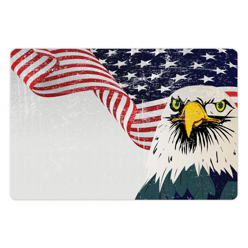 4th of July Country Pet Mat