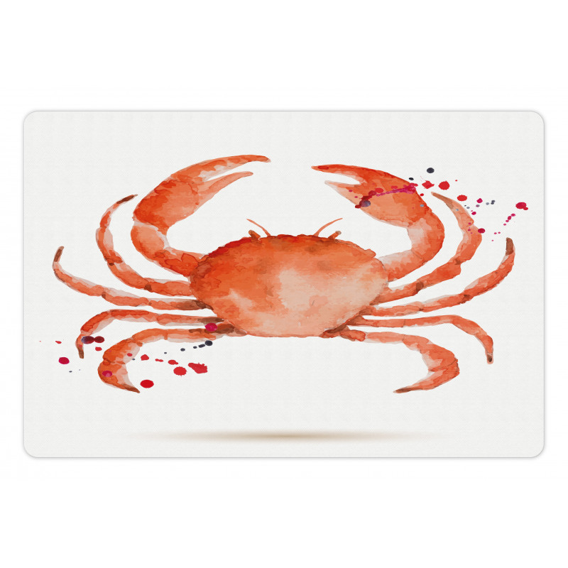 Sea Animals Theme Crabs Pet Mat