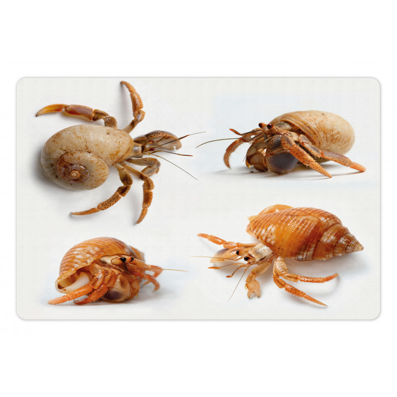 Hermit Crabs Pattern Pet Mat