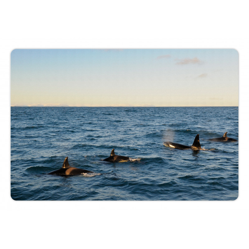 Whales in SeOcean Pet Mat