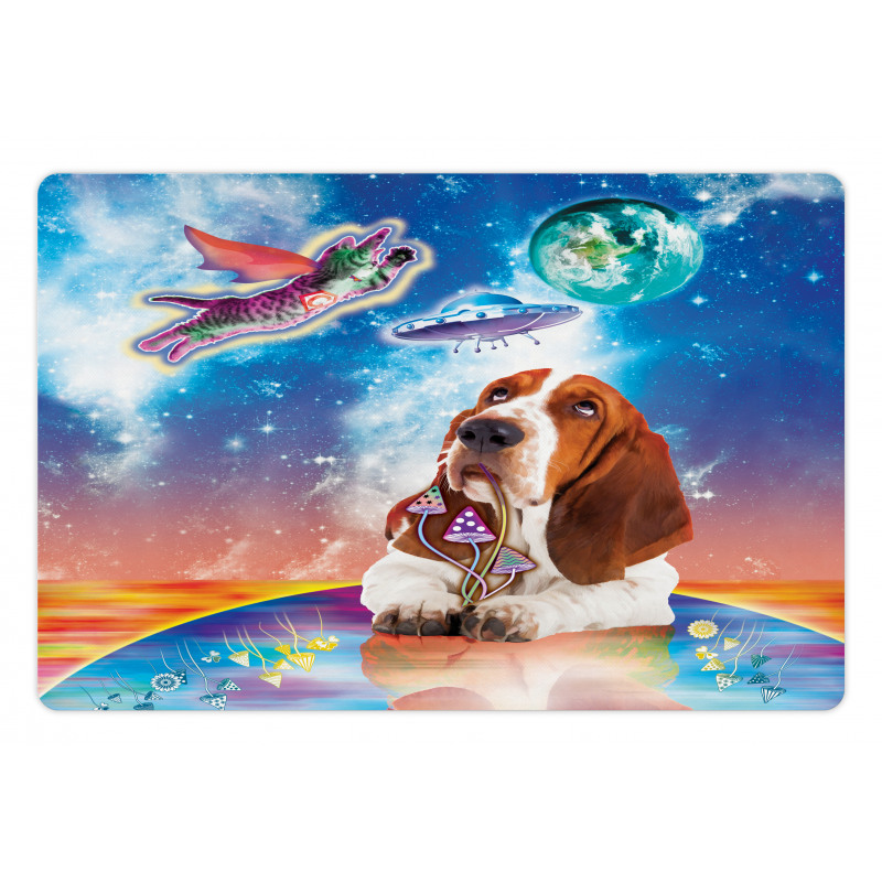 Cosmic Animals UFO Pet Mat