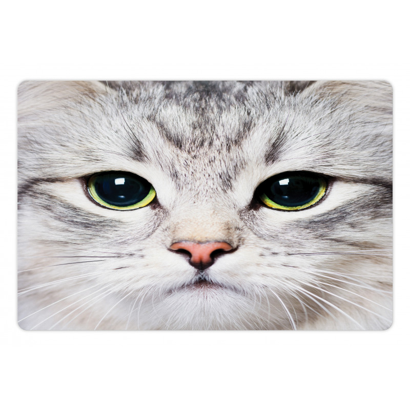 Face of a Domestic Kitty Pet Mat