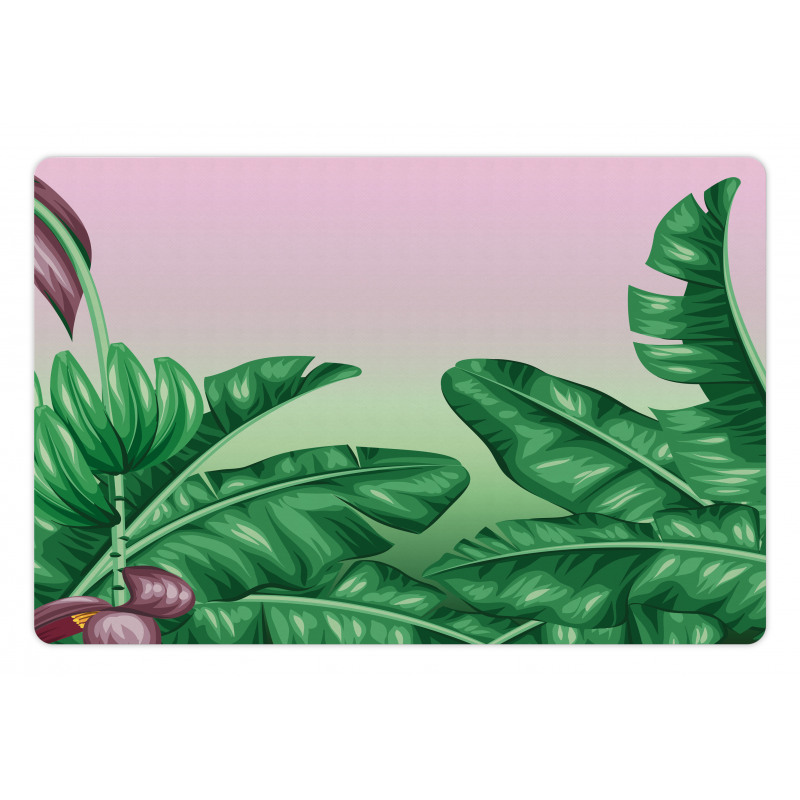 Exotic Orchid Blooms Pet Mat