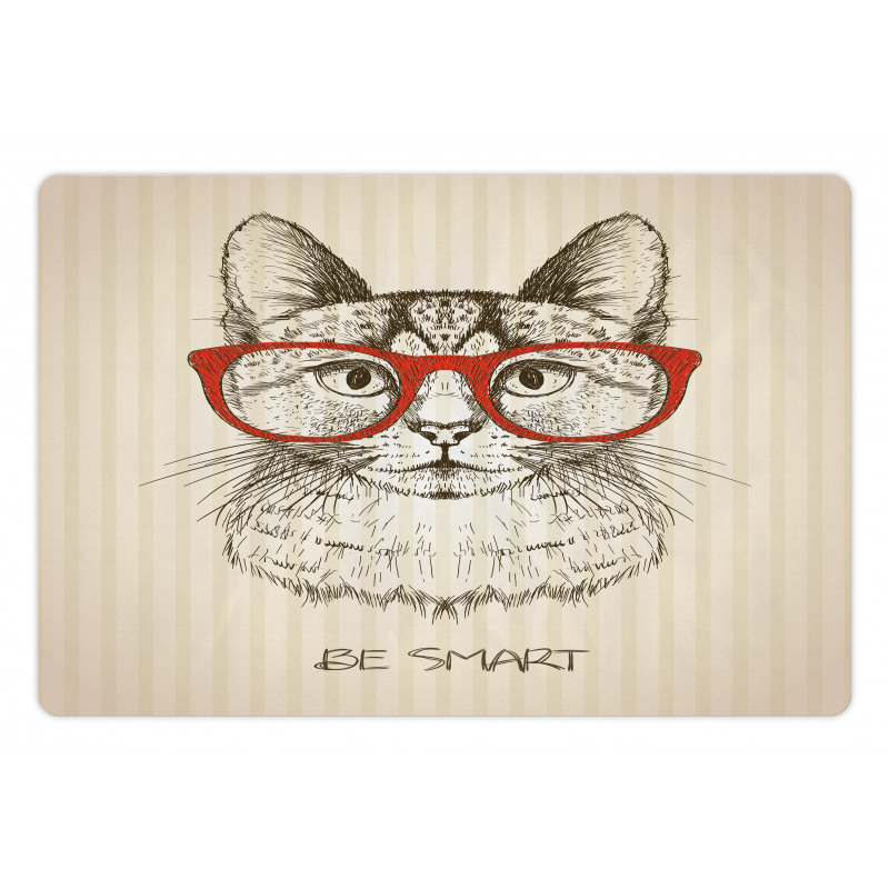 Cat with Retro Glasses Pet Mat