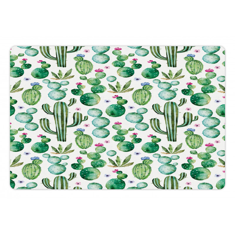 Mexican Cactus Plants Pet Mat