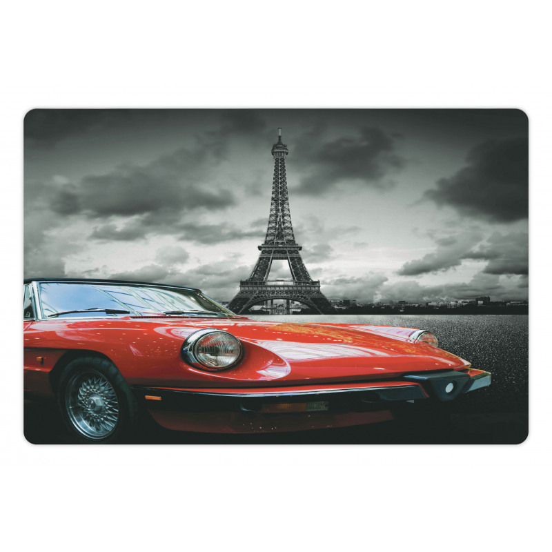 Romantic City Paris Pet Mat