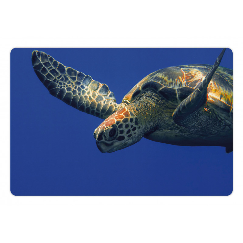 Sea Animal Swimming Pet Mat