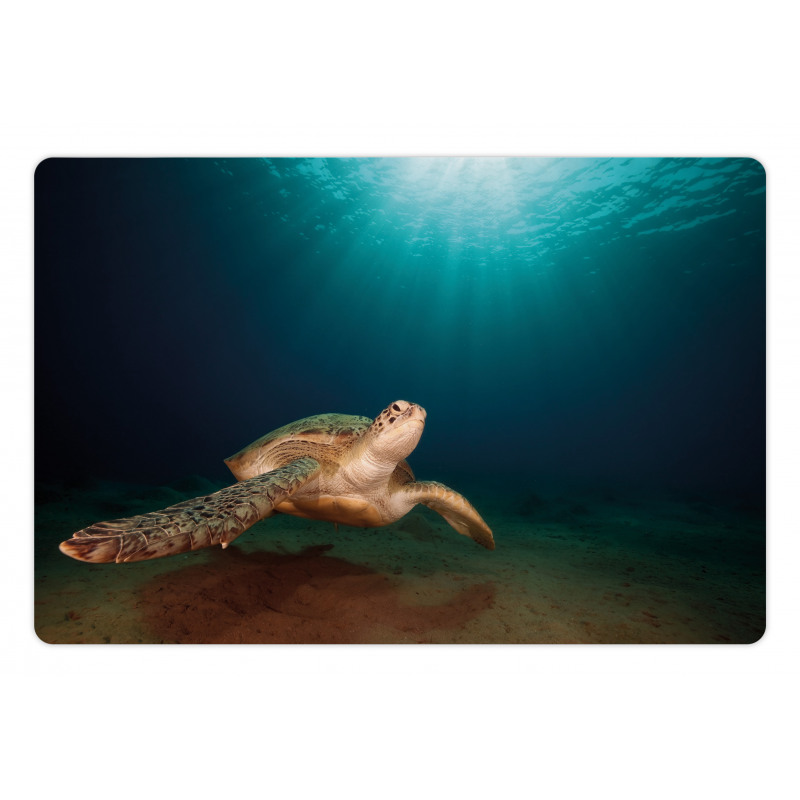 Green Turtle Sunbeam Pet Mat