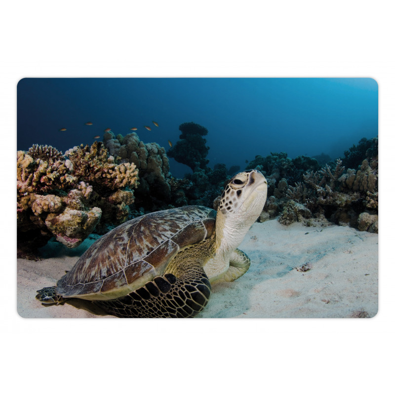 Turtle Coral Reef Pet Mat