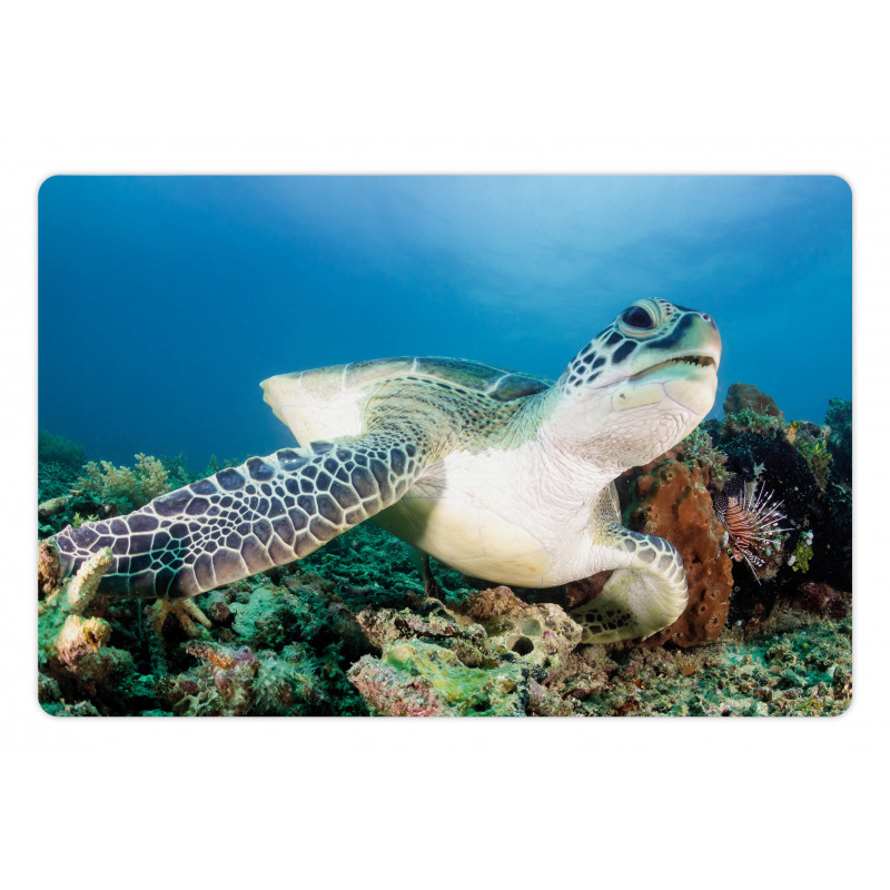 Green Turtle Coral Pet Mat