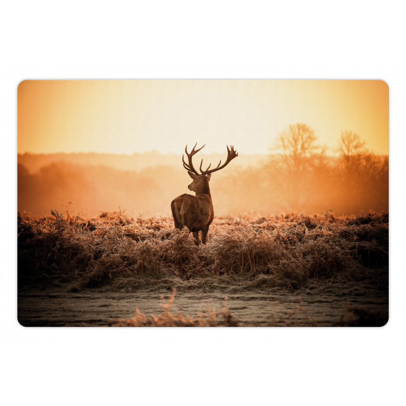 Deer Morning Sun Pet Mat