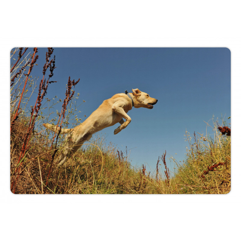 Purebred Labrador Pet Mat