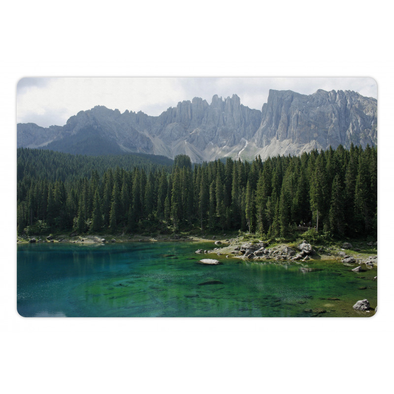 Aerial View Pines Lake Pet Mat