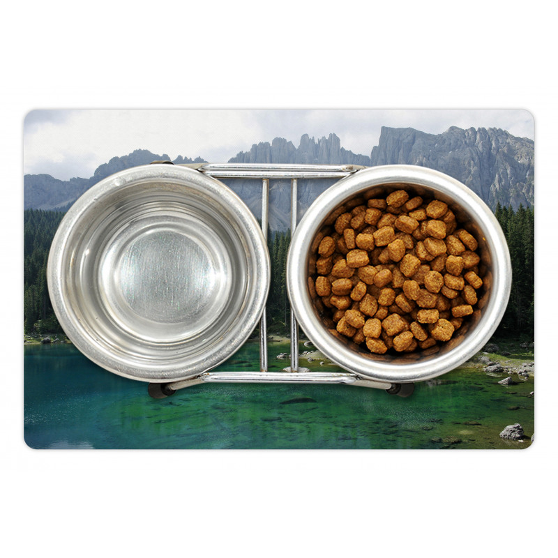 Aerial View Pines Lake Pet Mat