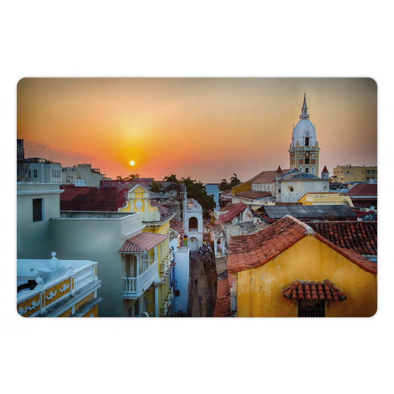 Rooftops Old City Coast Pet Mat