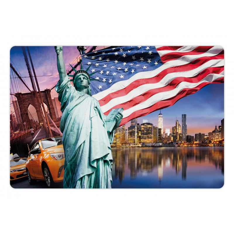 USA Touristic Concept Pet Mat