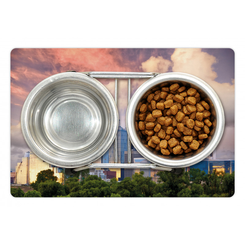 Dallas Skyline Pet Mat