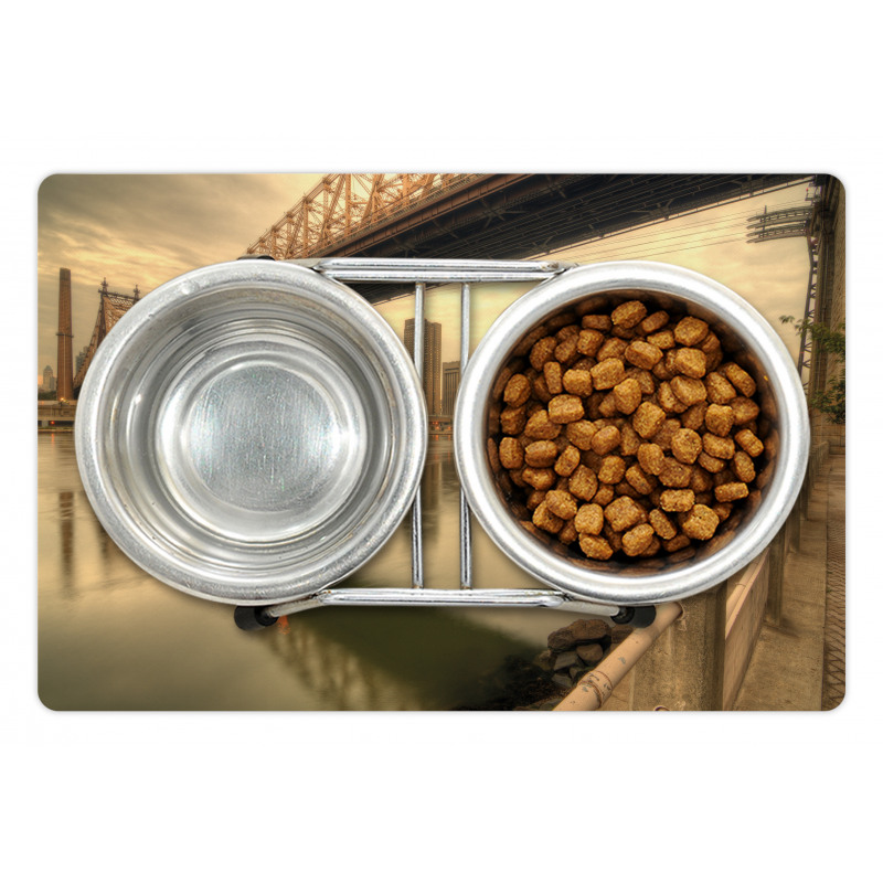 Queenboro Bridge Pet Mat