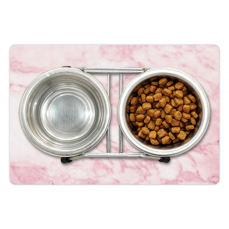 Soft Granite Texture Pet Mat