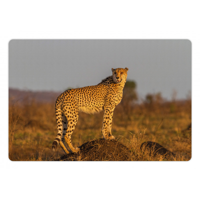 Wild Cheetah Pet Mat