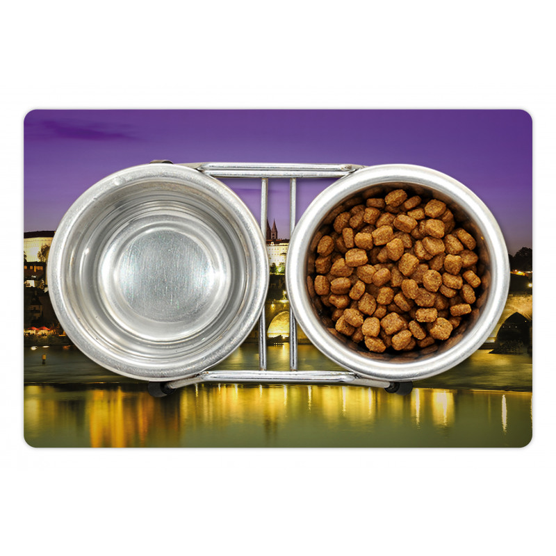 Charles Bridge Prague Pet Mat