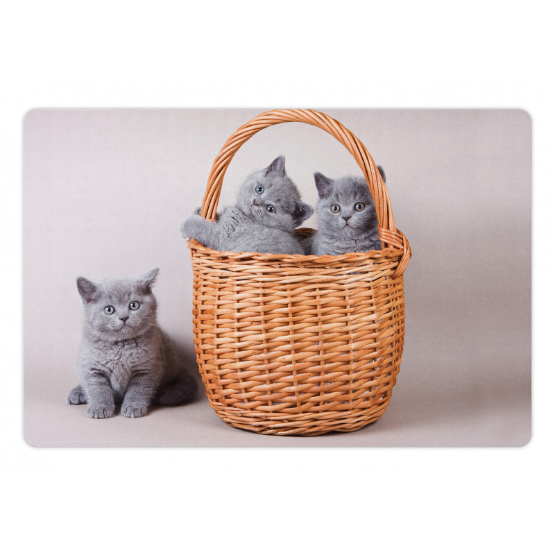British Cats in Basket Pet Mat