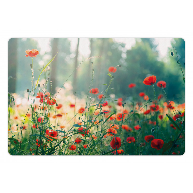 Wild Red Poppy Field Pet Mat