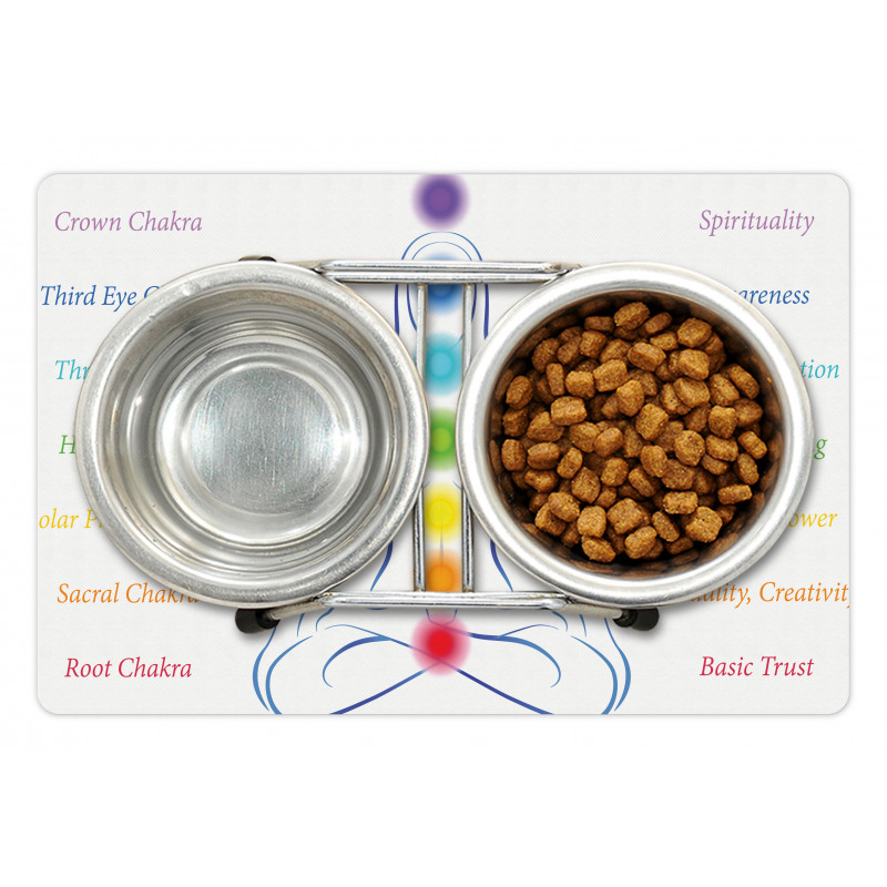 7 Main Chakra Meanings Pet Mat