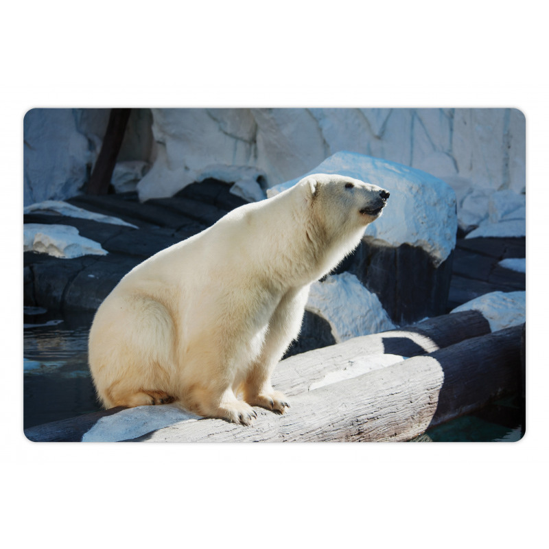 Polar Bear in Park Rocks Pet Mat