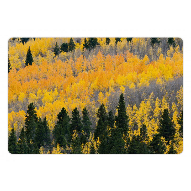 Colorful Aspen Trees USA Pet Mat