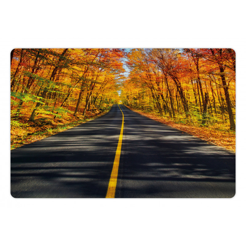 Rural Road Countryside Pet Mat