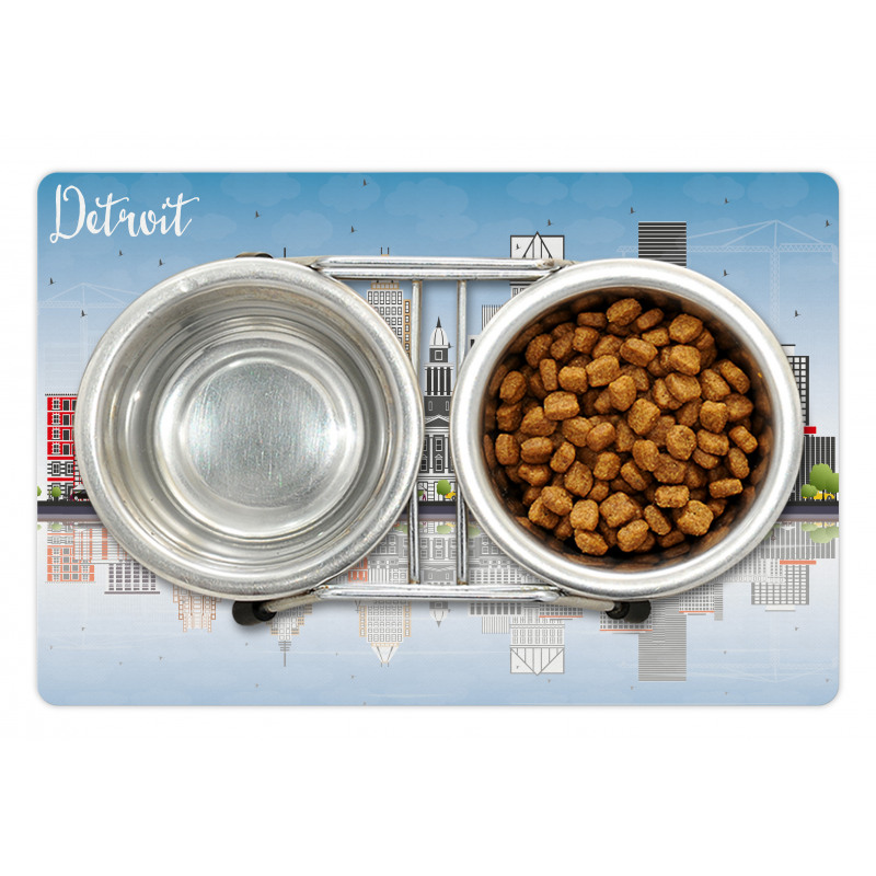 Cityscape Skyscrapers Pet Mat