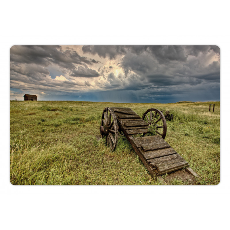 Prairie Cart Pet Mat