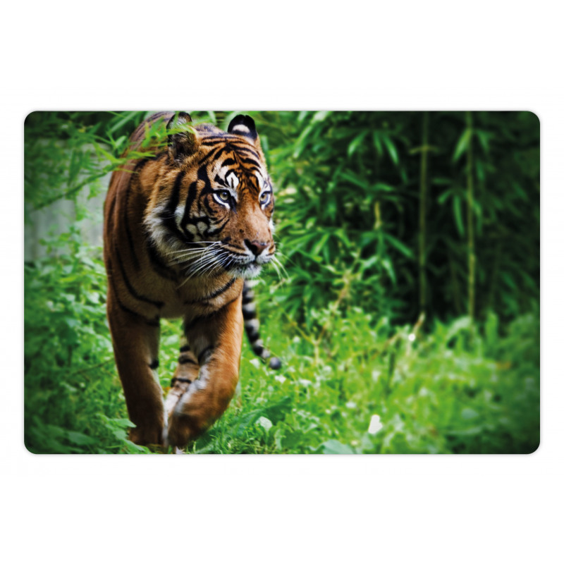 Siberian Wild Cat Habitat Pet Mat