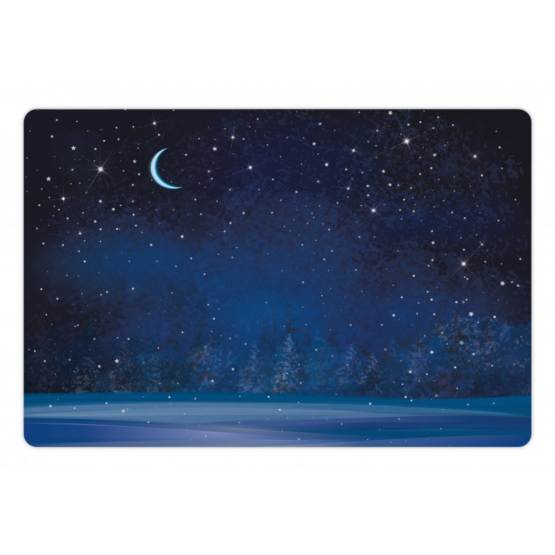 Snowy Winter Wonderland Pet Mat