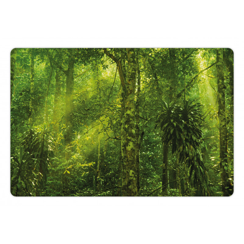 Tranquil Exotic Place Pet Mat