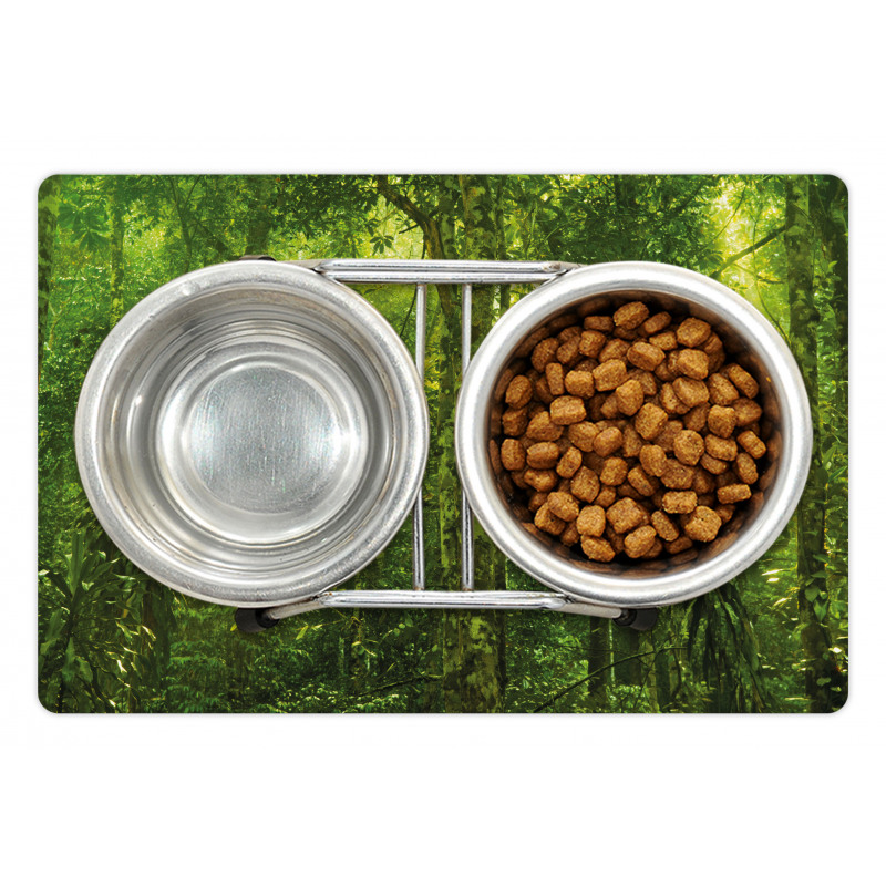 Tranquil Exotic Place Pet Mat