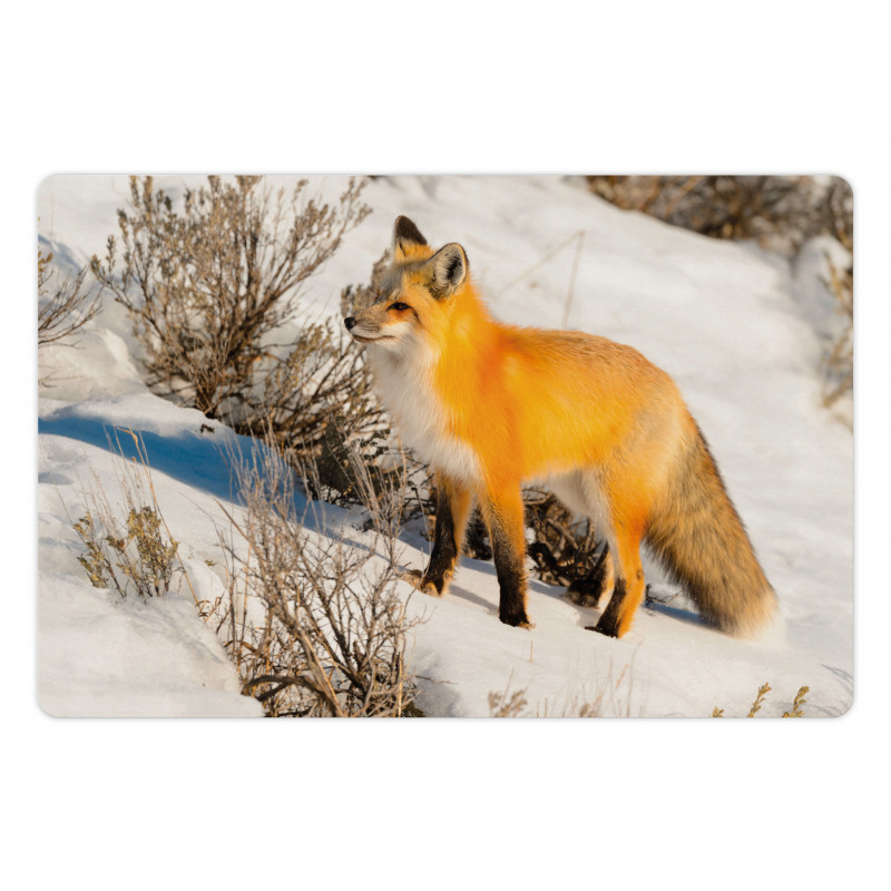 Red Fox in Snowy Nature Pet Mat