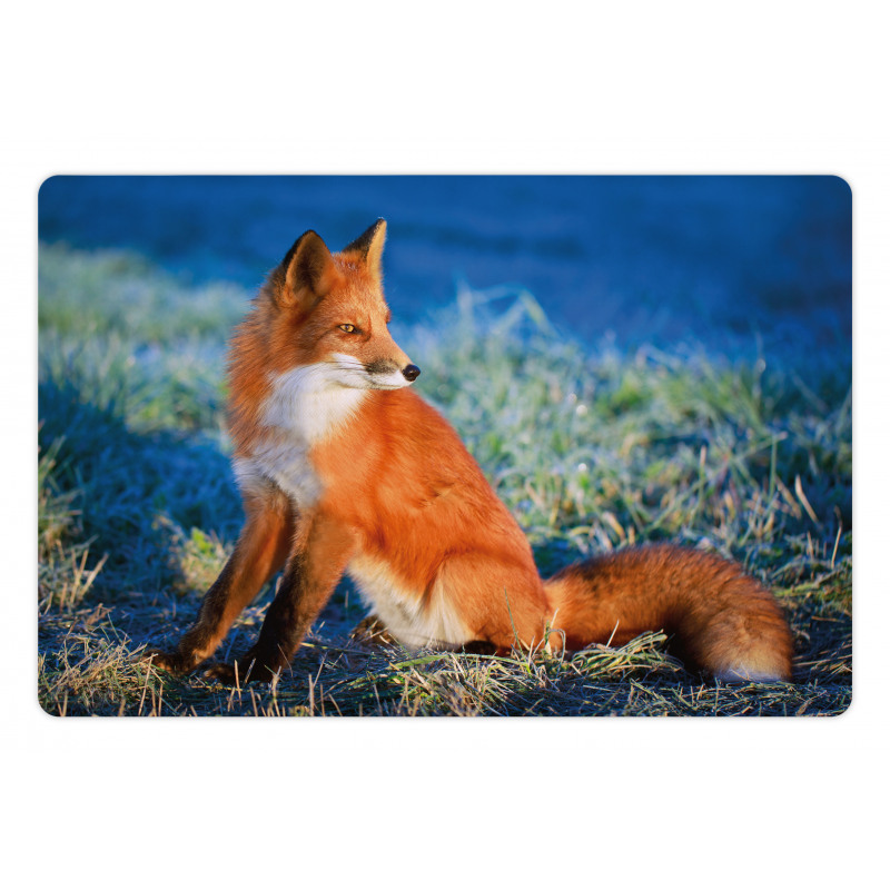 Serene Cold Autumn Field Pet Mat