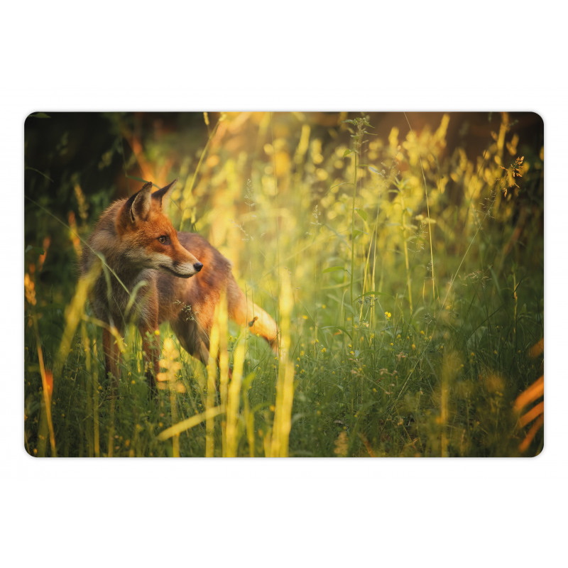 Vixen Mammal Summer Forest Pet Mat