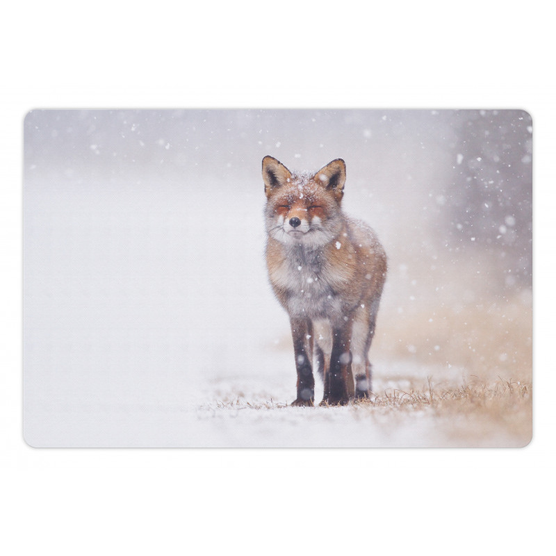 Rural Field Snow Stormy Pet Mat