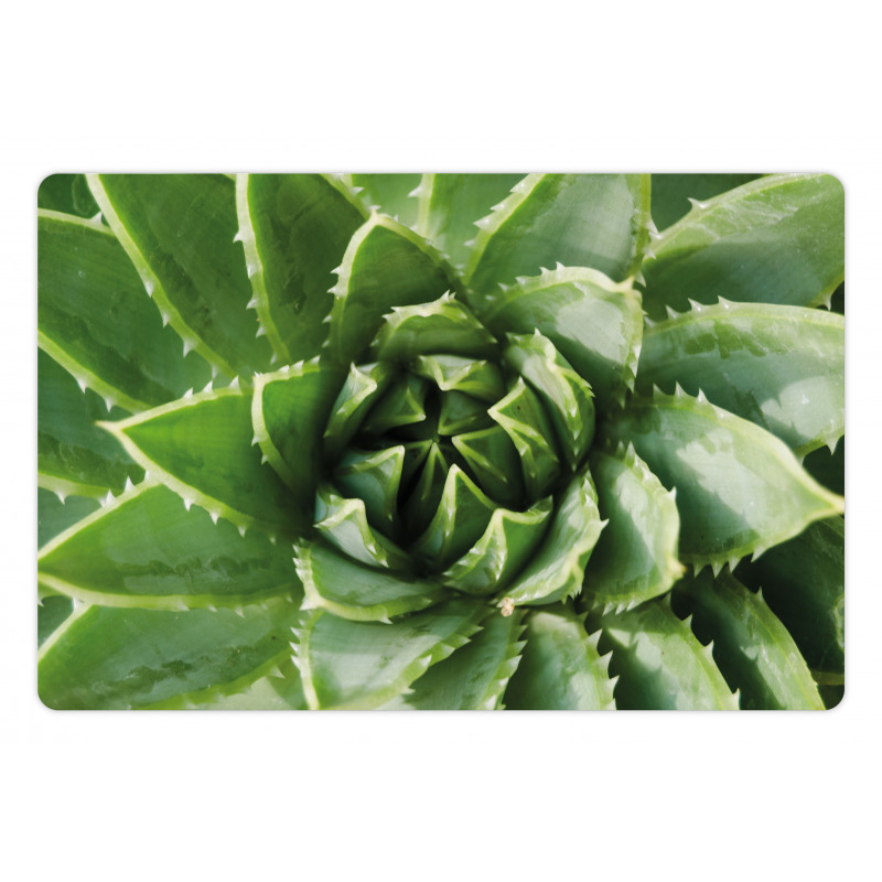 Green Leaf Exotic Mexico Pet Mat