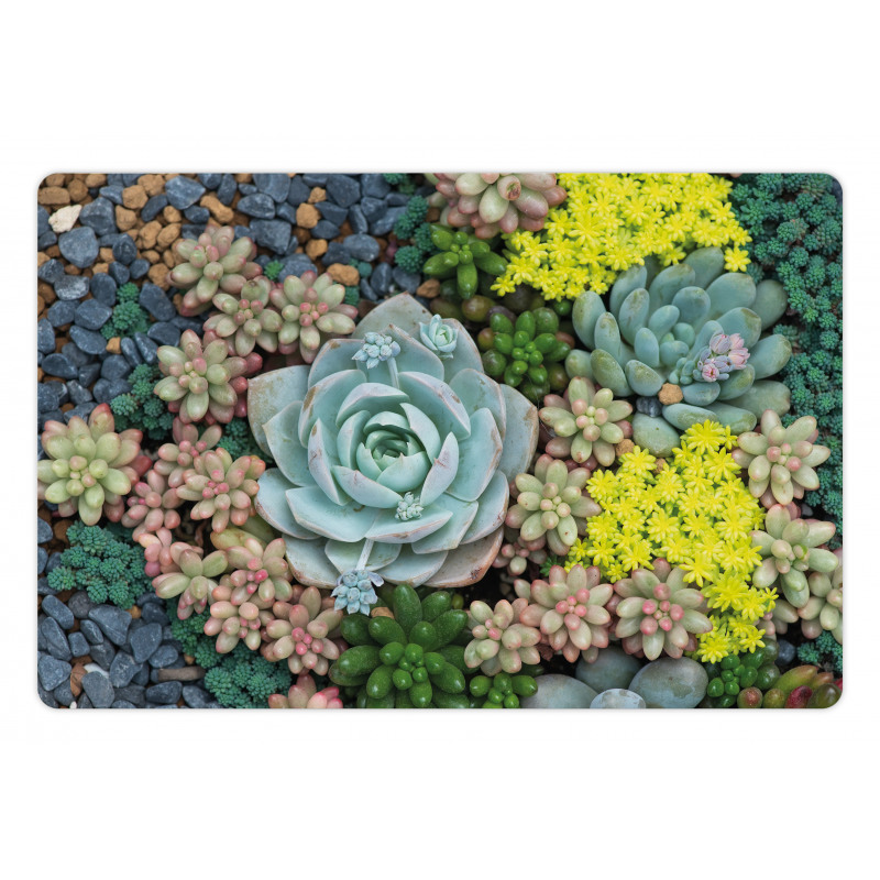 Miniature Plants Stones Pet Mat