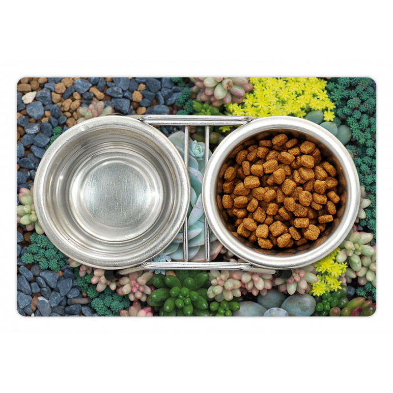 Miniature Plants Stones Pet Mat