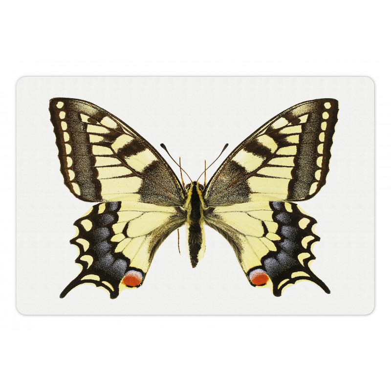 Old Papilio Pet Mat