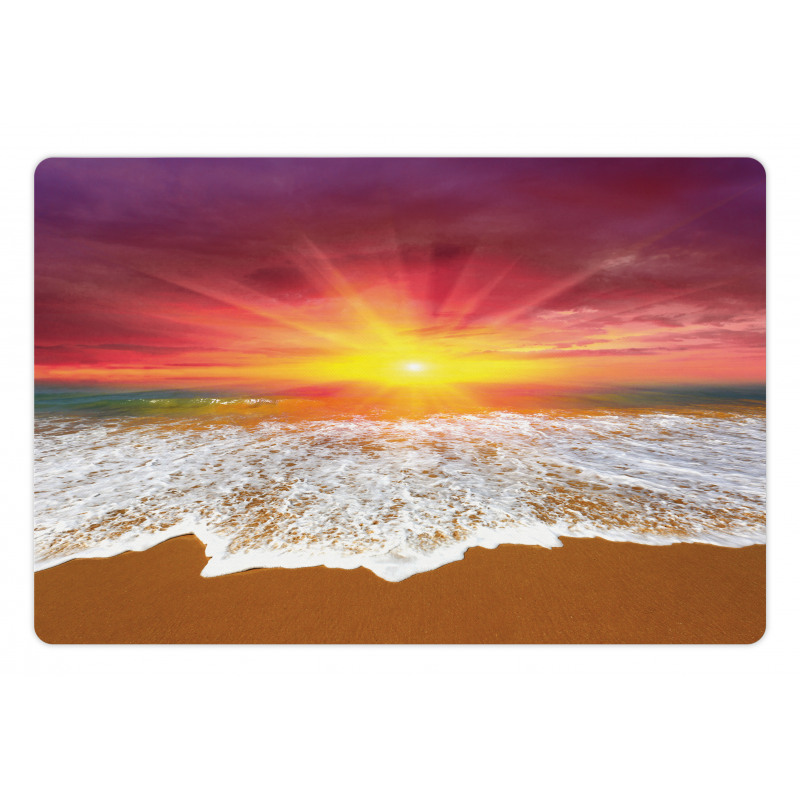 Vivid Coastal Scenery Pet Mat