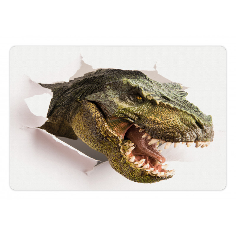 Dino Tears up Paper Pet Mat