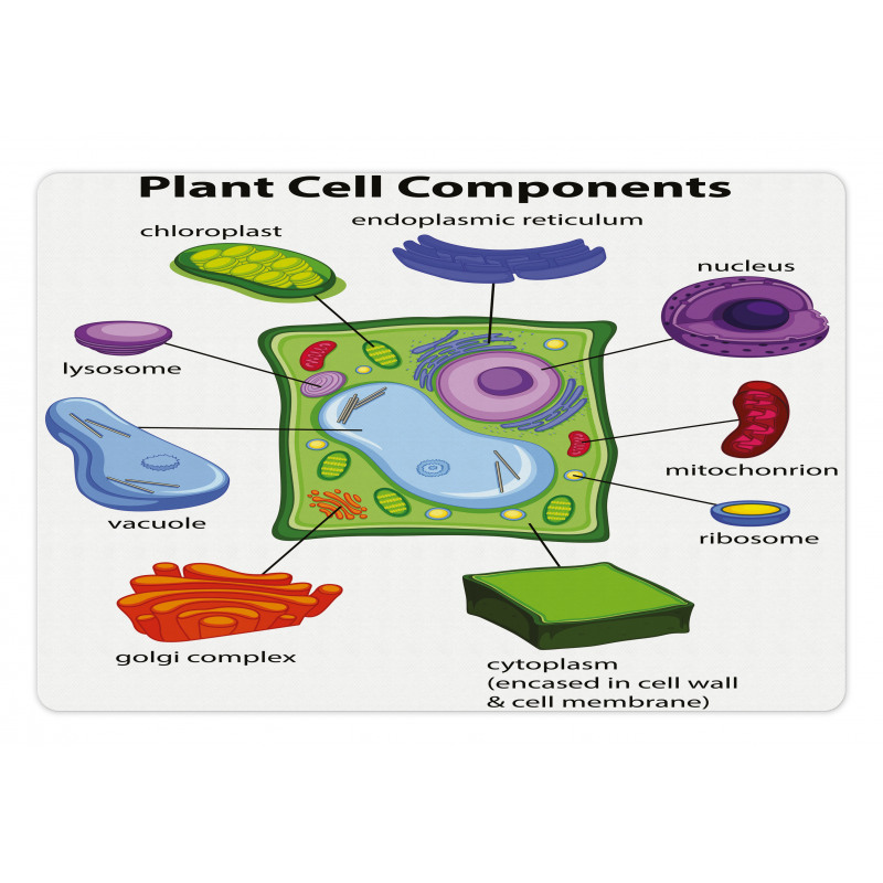 Cartoon Science Pet Mat